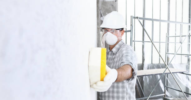 Why You Should Choose Our Mold Remediation Services in Cedar Mill, OR